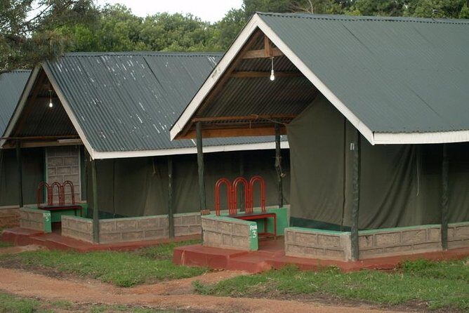 3 Day Maasai Mara Group Joining Camping Safari - Daily Departures - Night in a Tented Camp: The Part You’ll Either Love or Should Manage Expectations About