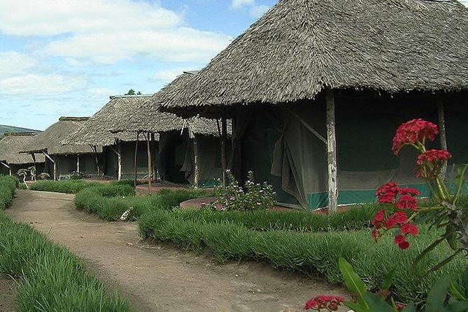 3 Day Maasai Mara Group Joining Camping Safari - Daily Departures - Day 2: Full-Day Mara Plains Viewing, Hippo Chances, and Maasai Village Option
