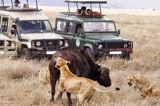 3 Day Maasai Mara Group Joining Camping Safari - Daily Departures - Getting Out of Nairobi: The 7:00am Start and Valley Viewpoint Stop