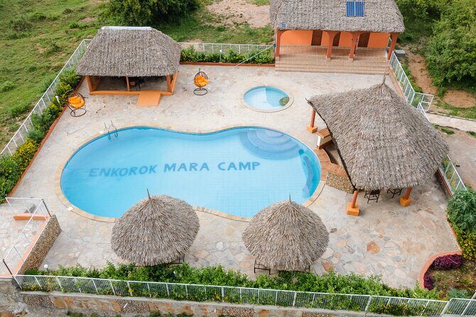 3-Day Maasai Mara Group Joining Safari - Group Joining Safari: What Changes When You’re Not in a Private Jeep
