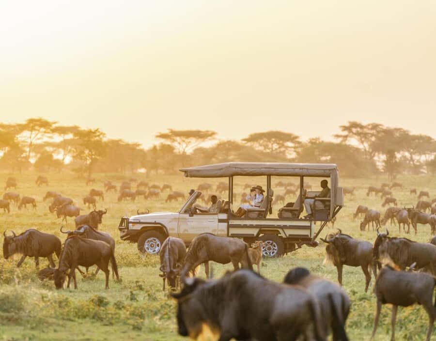 3-Day Maasai Mara Joining Safari at Enkorok Luxury Camp - From Nairobi to real wildlife time: how this safari works