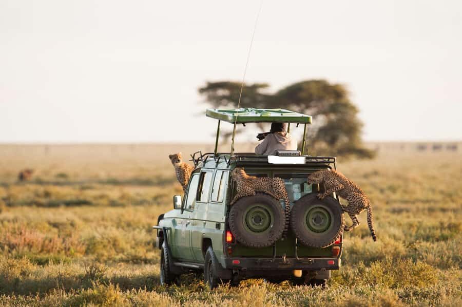 3-Day Maasai Mara Joining Safari at Enkorok Luxury Camp - Day 2: Full-day Mara exploring, picnic lunch, and Mara River chances