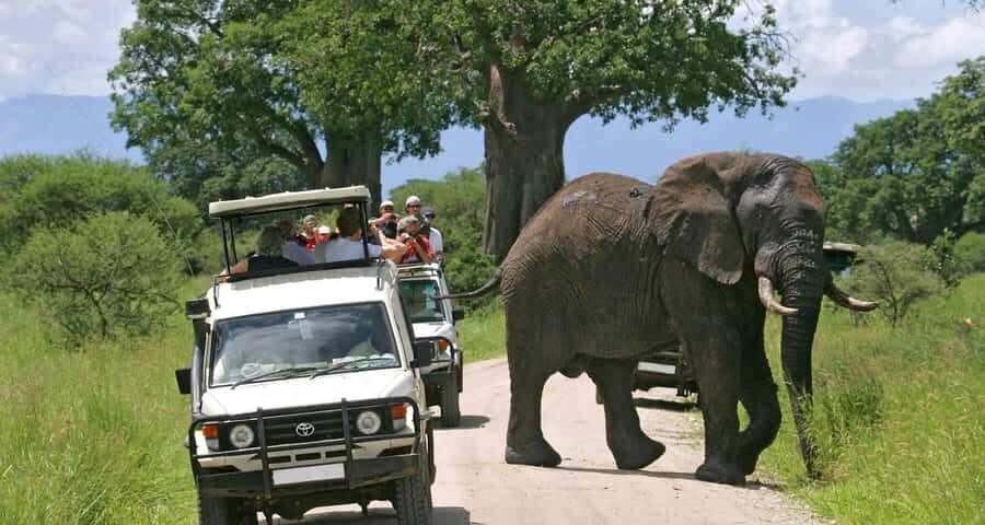 3-Day Maasai Mara Joining Safari at Enkorok Luxury Camp - Who should choose this joining safari, and who might want a different setup
