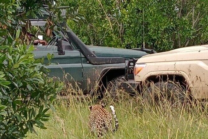3-Day Maasai Mara Safari Tour in a 4 x4 Land Cruiser Jeep - Day 1: Rift Valley viewpoint, then your first Mara sightings