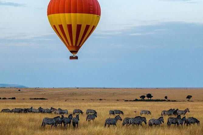 3-Day Masai Mara Safari Tour - Day 1: Rift Valley Scenic Stops, Narok Route, and Lake Nakuru Bird Time