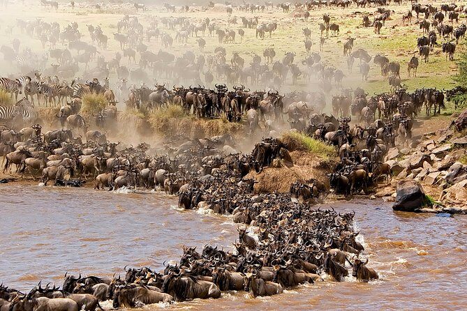 3-day Masai Mara Safari Tour to see the big five and wildebeest migration - Nairobi Pickup, Rift Valley Road Trip, and Your First Mara Game Drive