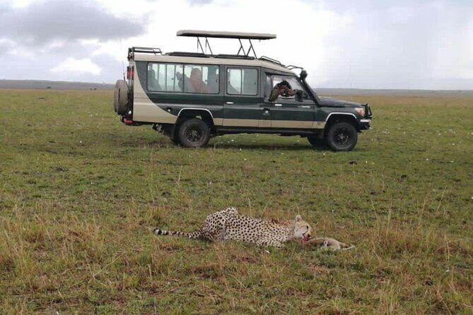 3 Day Private 4x4 Jeep Tour in Masai Mara Safari - Day 2: Mara River picnic lunch and all-day game viewing
