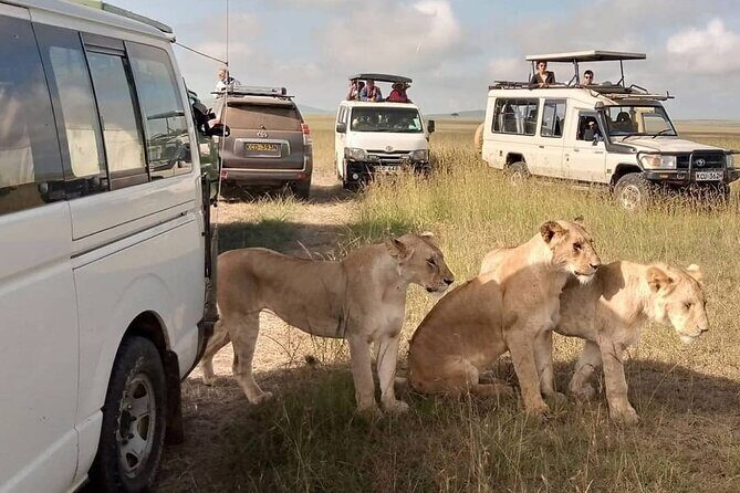 3 Day Private Wild Safari Tour in Maasai Mara - Entering the Maasai Mara game at the right times