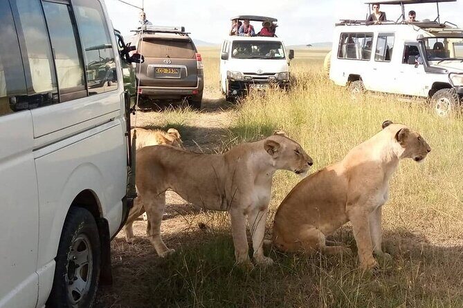 3 Day Private Wild Safari Tour in Maasai Mara - Day 1: Nairobi departure, Rift Valley sunrise views, and a Mara evening drive
