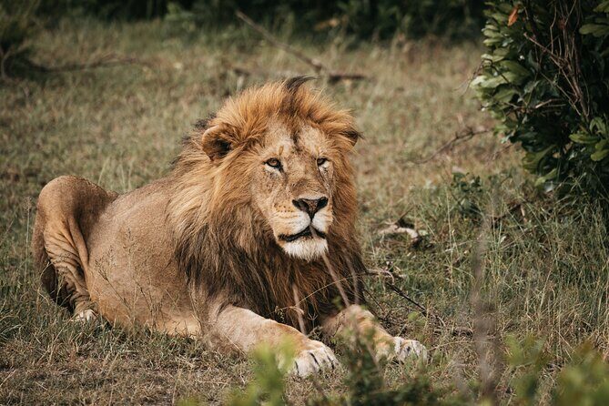 3-Day Tsavo East and Tsavo West Safari - Price and what you truly get for $1,242.86 per person