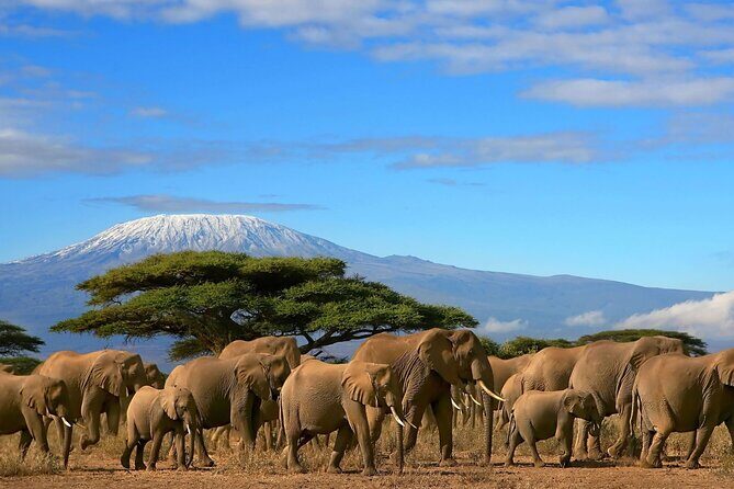 3 Days 2 Nights Amboseli National Park Tour - Key points worth clocking before you go