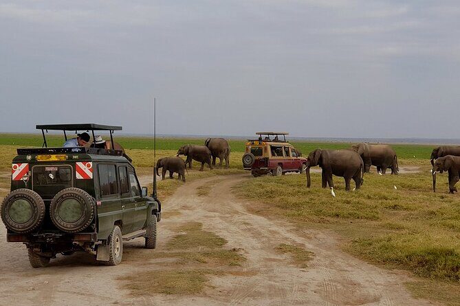 3 Days 2 Nights Amboseli National Park Tour - Amboseli and Kilimanjaro: why this route feels so special