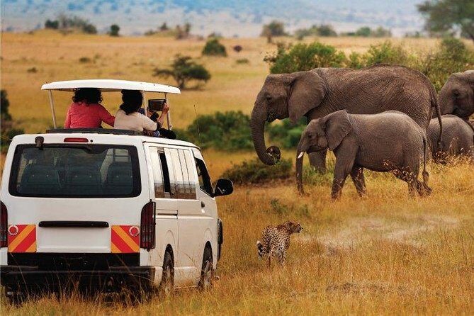 3 Days 2 Nights Amboseli Safari - Food, Lodge Comfort, and the Small Stuff That Matters