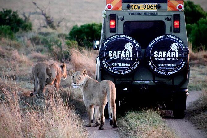 3 Days 2 nights Group joining Midrange Safari Tour in Masai maraa - Key highlights you’ll care about