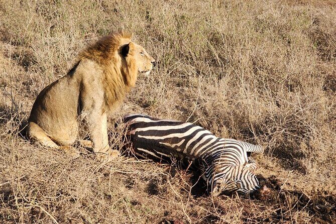 3 Days - 2 Nights Maasai Mara from Nairobi - Meals Included: Breakfasts, Lunches, and Two Dinners Covered