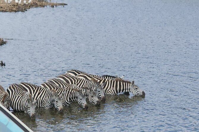 3 Days - 2 Nights Maasai Mara from Nairobi - Who This Private Maasai Mara Trip Suits Best