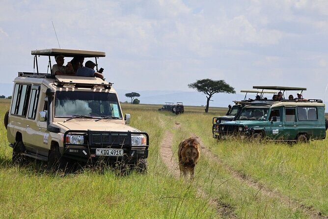 3 Days 2 Nights Maasai Mara Group Safari by 4WD From Nairobi - Price and what you really get for $187