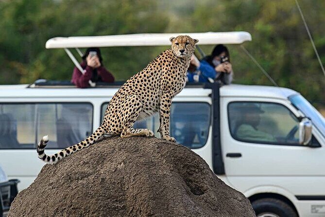 3 Days 2 Nights Maasai Mara Group Safari by 4WD From Nairobi - Is this safari right for you?
