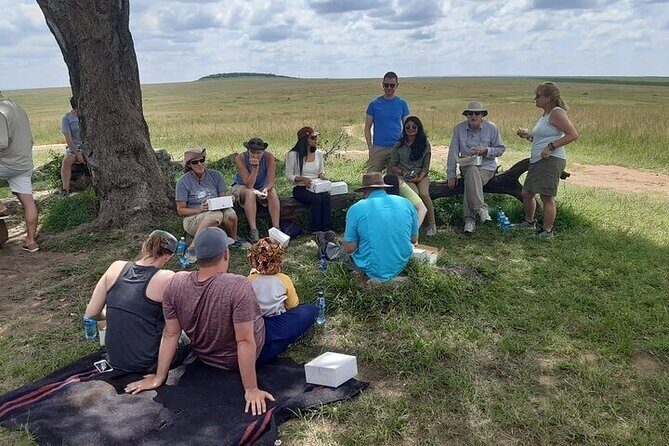 3 Days 2 Nights Maasai Mara Group Safari by 4WD From Nairobi - Day 1: Check-in, lunch in camp, then a sunset hunt for big cats