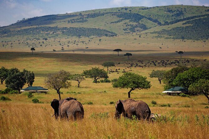 3 Days 2 Nights Maasai Mara National Reserve Joining Safari - Key highlights to look for