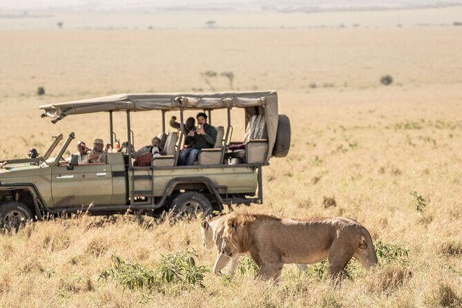 3 Days 2 Nights Maasai Mara National Reserve Joining Safari - Maasai Mara wildlife viewing: what you can expect to prioritize
