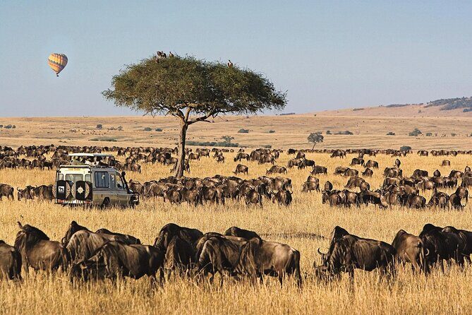 3 Days 2 Nights Maasai Mara National Reserve Joining Safari - Food, water, and comfort: what’s actually included