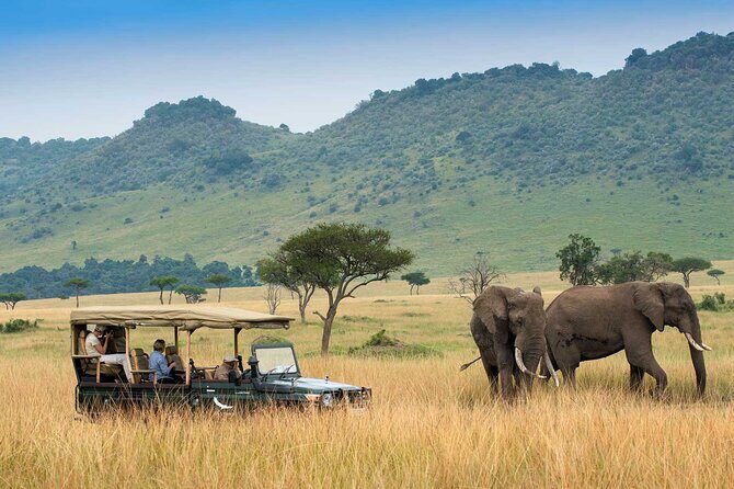 3 Days 2 Nights Maasai Mara National Reserve Joining Safari - The game-drive schedule: why this itinerary uses two peak windows