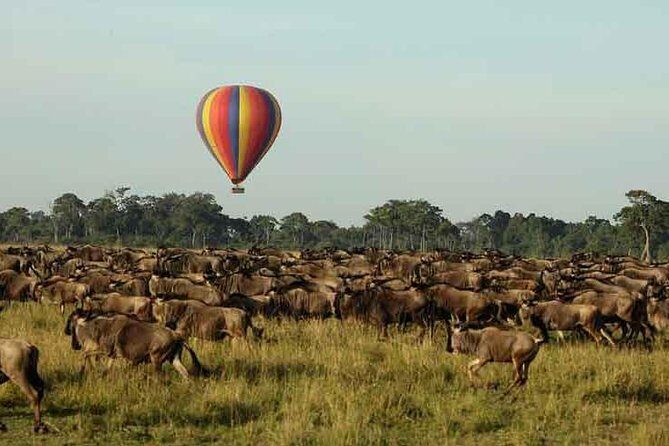 3 Days 2 Nights Masai Mara Joining Safari From Nairobi - Price and Logistics: What You Pay and What You Still Owe