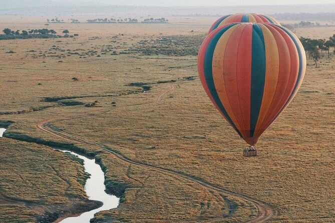 3 Days 2 Nights Masai Mara Joining Safari From Nairobi - Full-Day Game Drives: Where the Reserve Delivers Wildlife and Birds