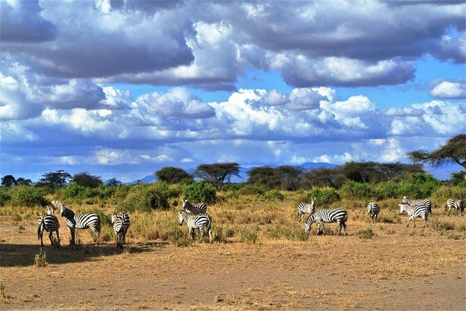 3 Days, 2 Nights Safari - Amboseli National Park and Tsavo West Adventure Safari - Key takeaways before you book