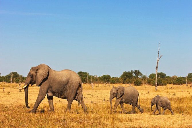 3 Days, 2 Nights Safari - Amboseli National Park and Tsavo West Adventure Safari - Tsavo West to Amboseli: a fast route that packs the icons