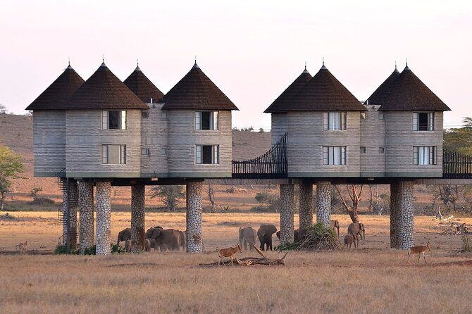 3 Days 2 Nights Safari to Saltlick Lodge from Nairobi - Lunch at Taita Hills: your midday reset before the main safari stretch