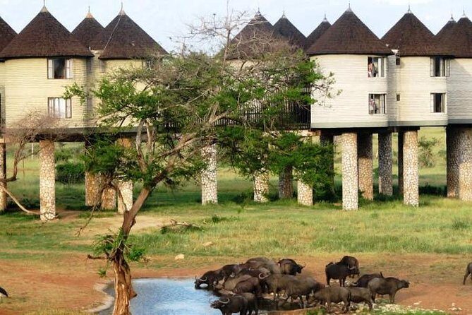 3 Days 2 Nights To Sarova Saltlick And Taita Hills - Quick takeaways before you go