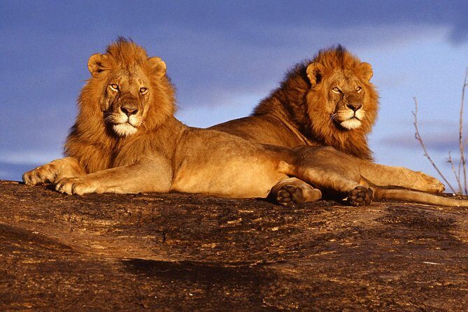 3 Days (2 nights); Tsavo East & West Safari: - East and West Tsavo in one trip: what you’re really buying