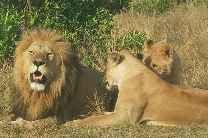 3 Days adventurous Maasai Mara Budget Group Safari - Price and value: what $850 gets you (and what it doesn’t)
