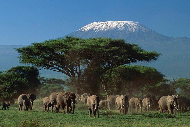 3 days Amboseli, Land of Kilimanjaro - Price and value: what you’re paying for in the real world
