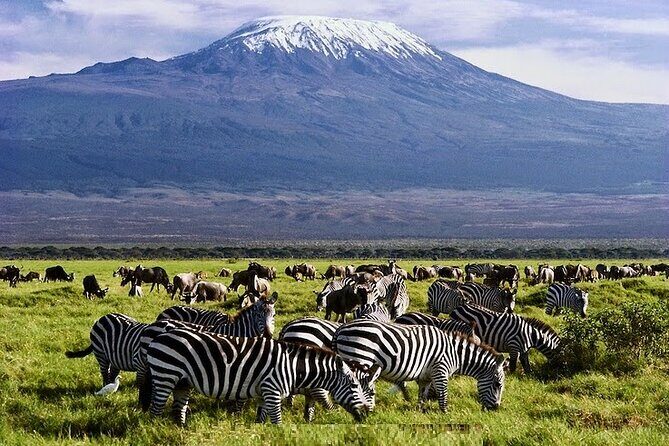 3 Days Amboseli National Park safari - Key things to know before you go