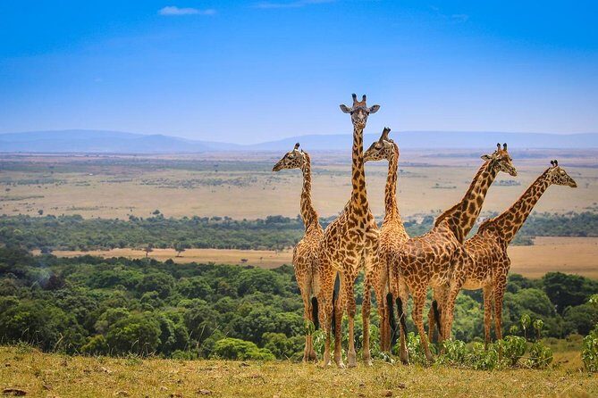 3 Days Amboseli National Park safari - Why Amboseli hits different: Kilimanjaro sightings and close wildlife