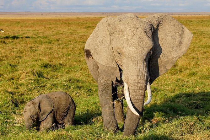 3 Days Amboseli National Park safari - Getting from Nairobi: the 3-day rhythm and what it costs you (time-wise)