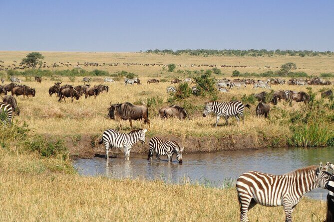 3 Days and 2 Nights Adventure in Masai Mara - Meals, Bottled Water, and What’s Actually Covered in the Price