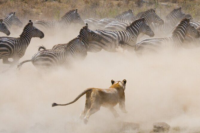 3 Days and 2 Nights Adventure in Masai Mara - Who This Masai Mara Trip Is Best For (and Who Should Skip It)