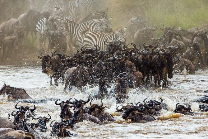 3 Days and 2 Nights Adventure in Masai Mara - Day 1: Rift Valley Views and First Masai Mara Game Drive