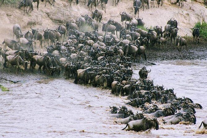 3 Days Budget Masai Mara Safari - Day 3: check out, optional Maasai village, then back to Nairobi