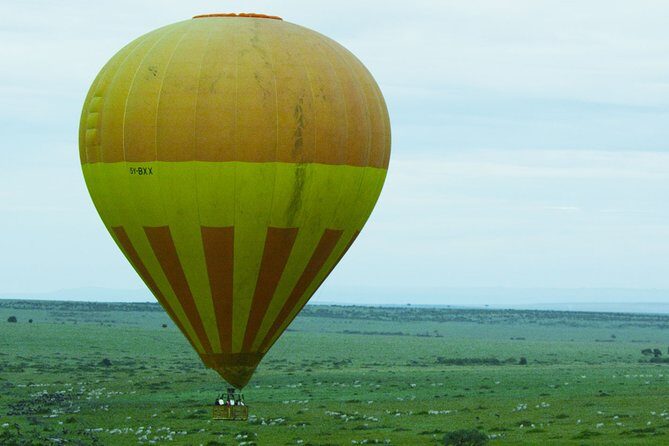 3 Days Budget Masai Mara Safari - Weather and the reality of wildlife timing