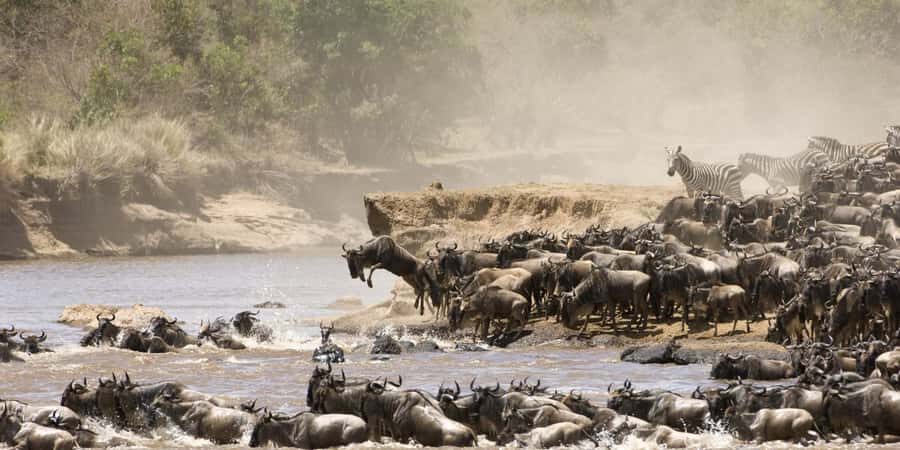 3 days group safari to maasai mara with a 4x4 landcruiser - Entering Maasai Mara: What 3 Days Gives You (and What It Doesn’t)