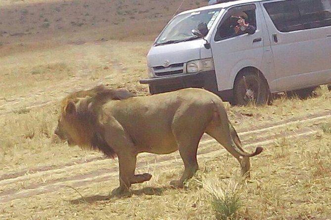 3 Days Maasai Mara Budget Group Safari - Getting Picked Up in Nairobi: A Simple Start Helps