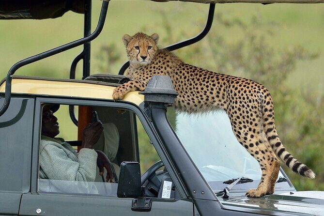 3-Days Maasai Mara Camping Safari on 4x4 Land Cruiser Jeep - Key highlights you should care about