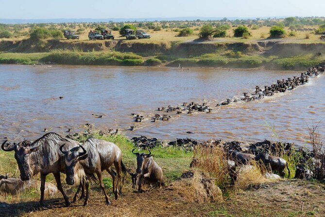 3-Days Maasai Mara Camping Safari on 4x4 Land Cruiser Jeep - Small-group safari (eight max): why that number matters