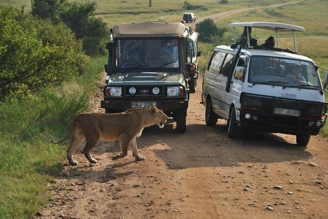 3-Days Maasai Mara Camping Safari on 4x4 Land Cruiser Jeep - Getting from Nairobi: the drive, the viewpoint, and the timing trick