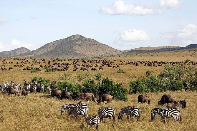 3 Days Maasai Mara Luxury Camping - Key things to notice before you go